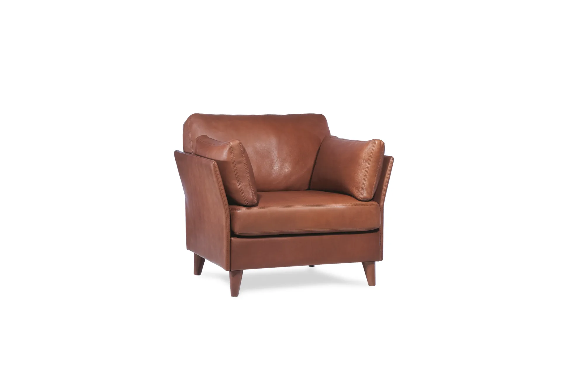 Fauteuil Cuir Neology