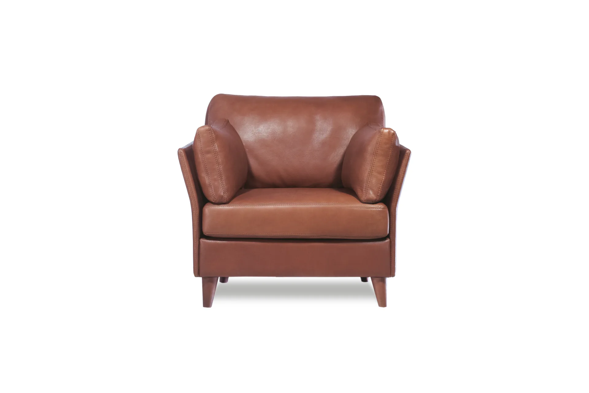 Fauteuil Cuir Neology